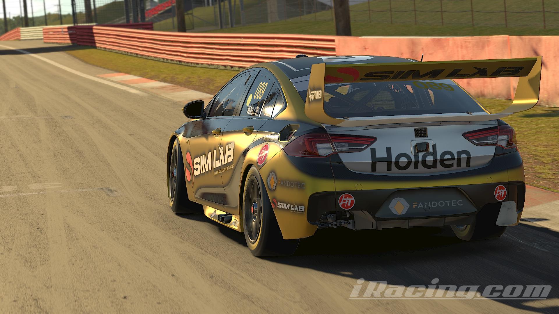 Preview of SRG Holden Commodore gold by Andreas Wagner