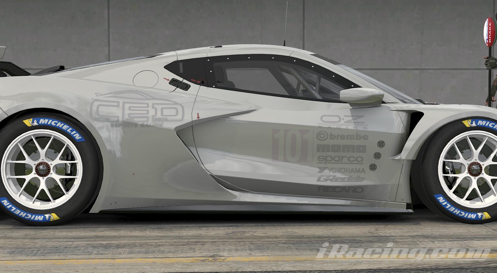 Preview of Track Day Street/Track Corvette C8_R GTE by Marshall W.