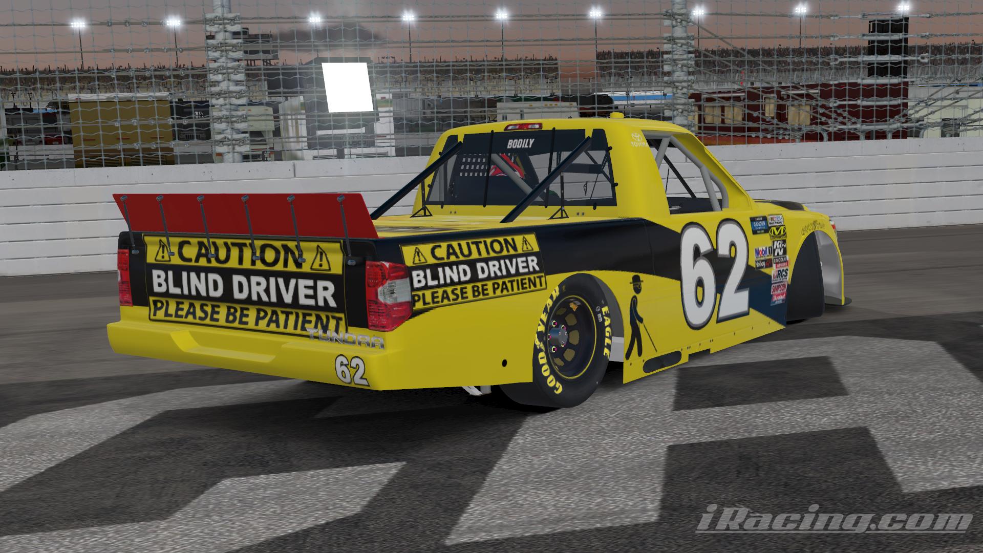CAUTION BLIND DRIVER [Gander] by Mike Bodily - Trading Paints