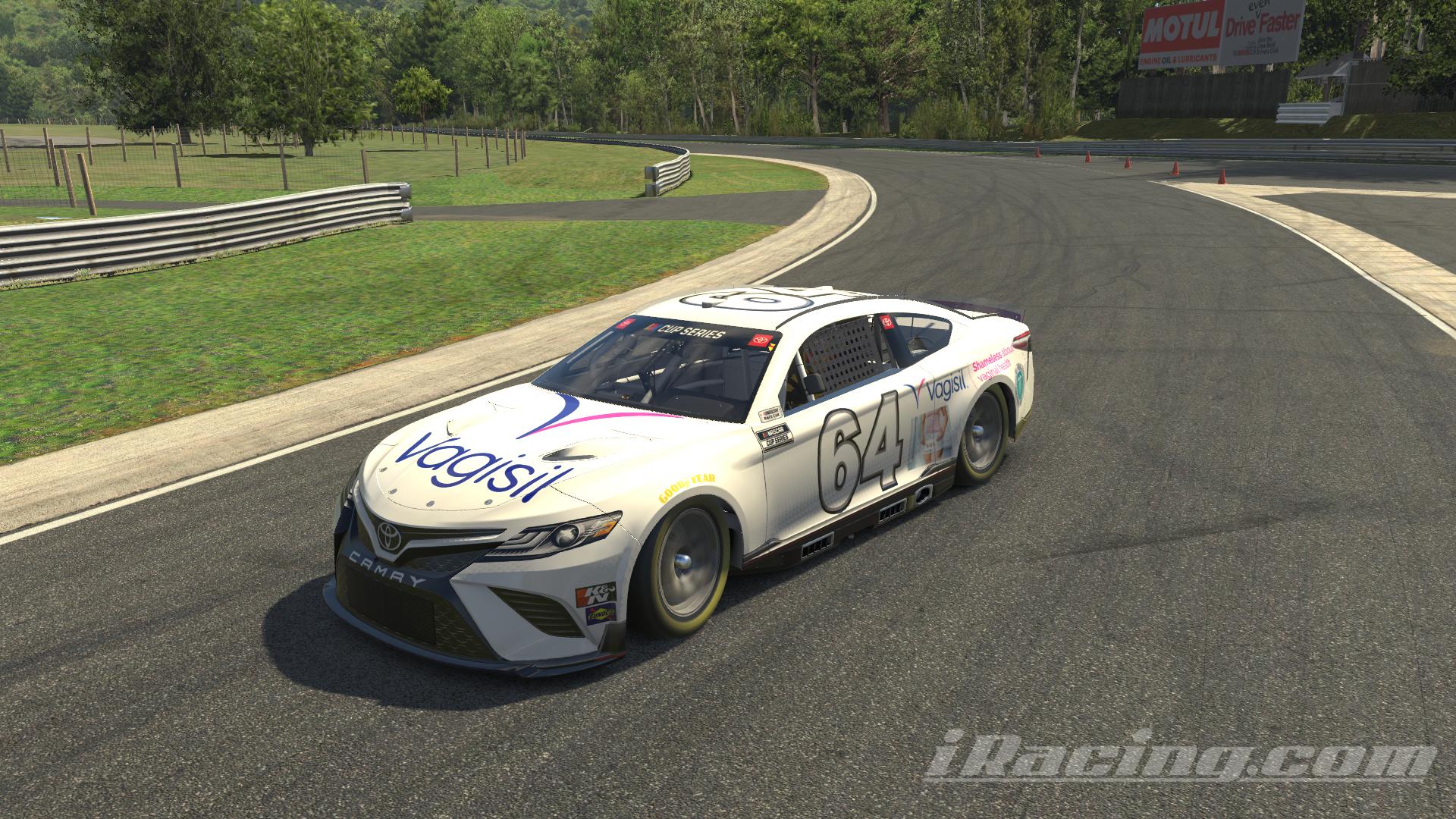 Preview of Vagisil by Wesley J.