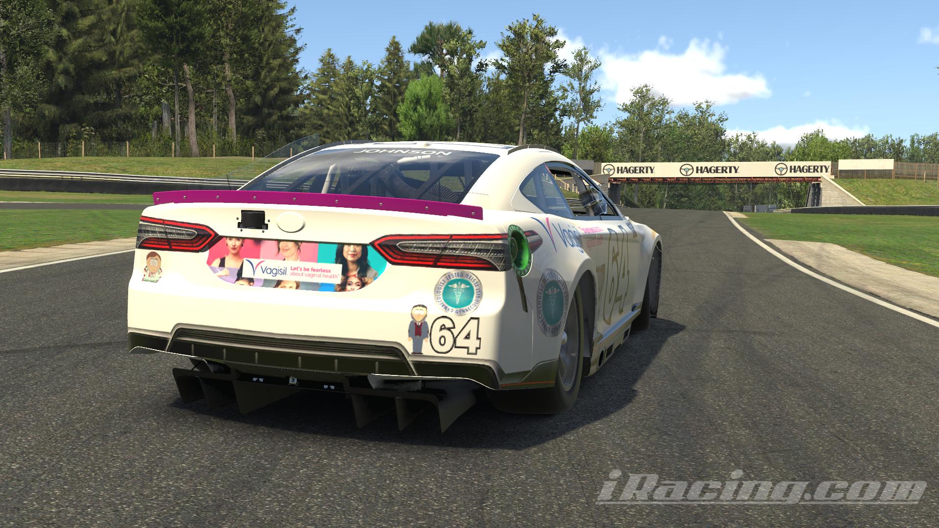 Preview of Vagisil by Wesley J.