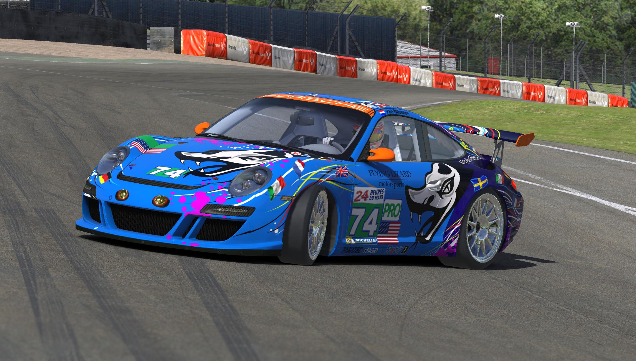 Preview of Flying Lizard by Paul W.