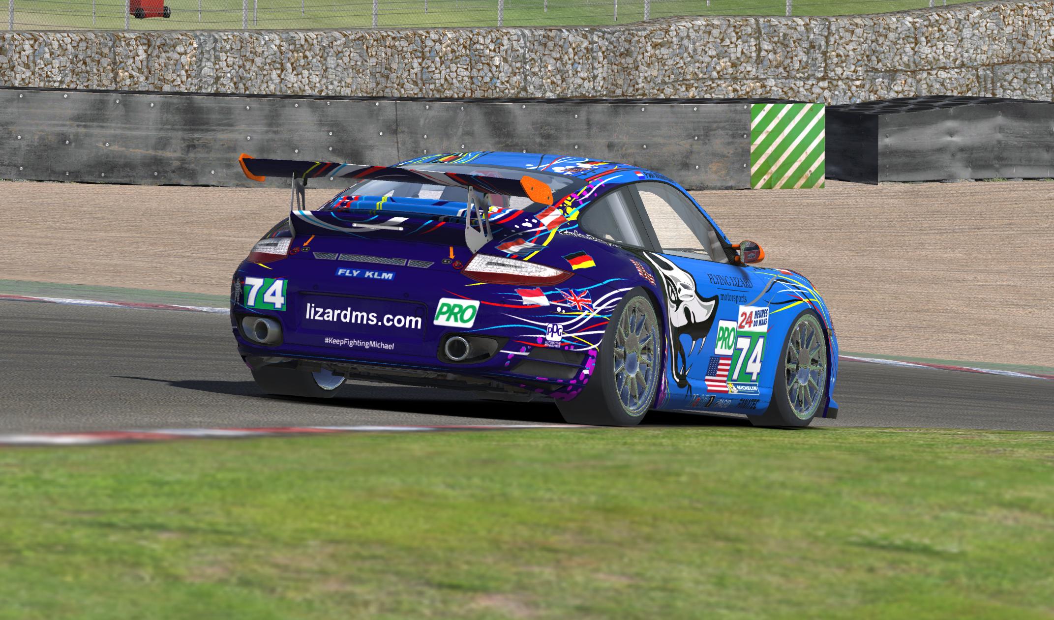Preview of Flying Lizard by Paul W.