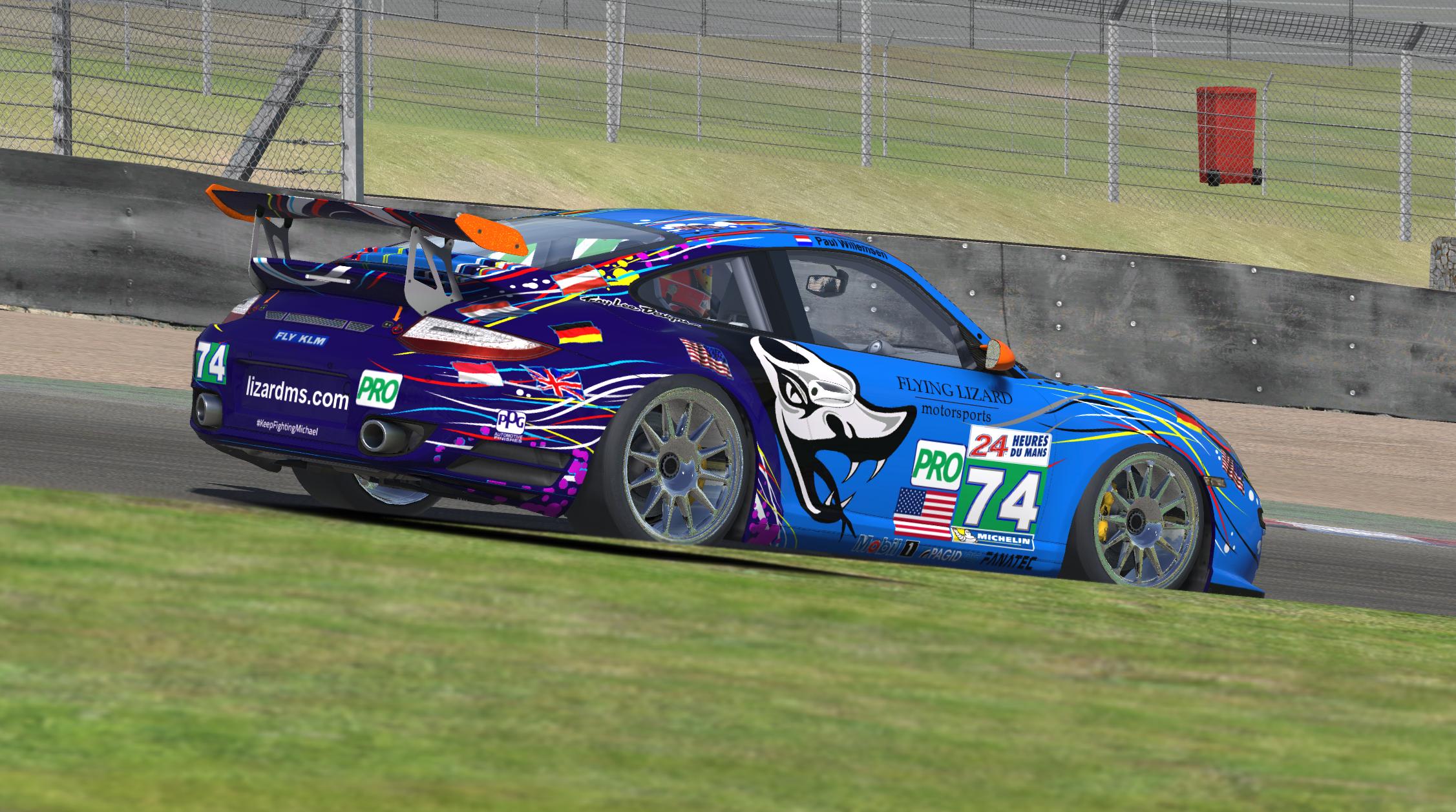 Preview of Flying Lizard by Paul W.