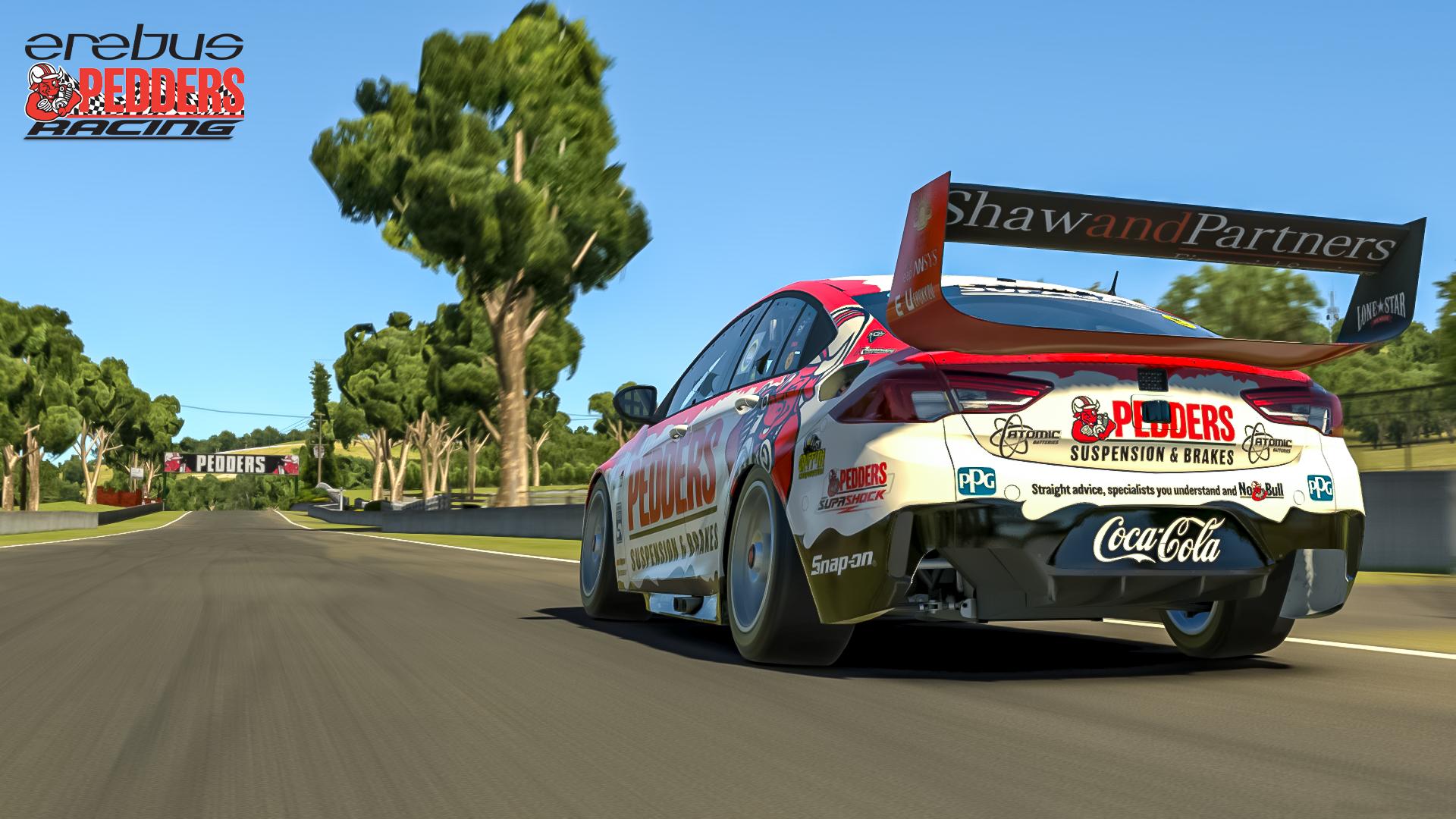 Erebus Pedders Racing 2021 by Paul Mansell - Trading Paints