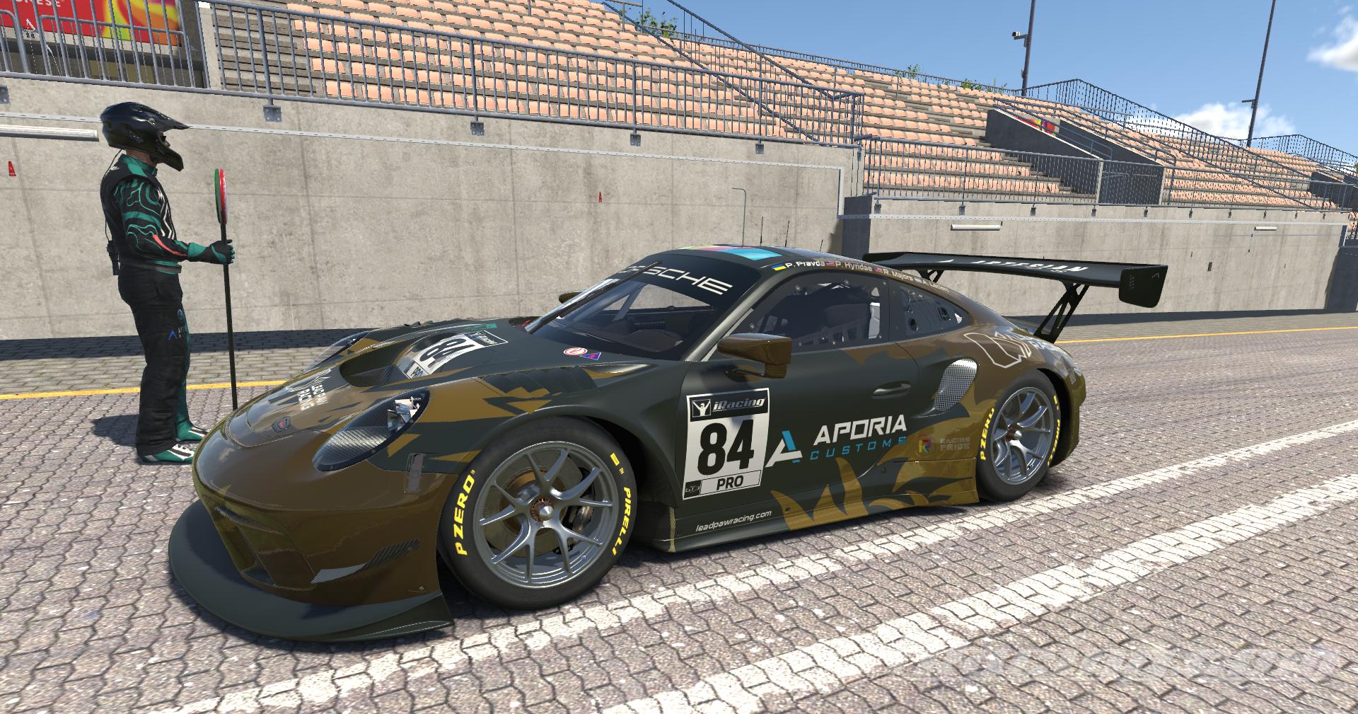 Preview of 2022 Lead Paw Racing 24 Hours of Dayona 911 GT3R (Standard Numbers) by Pan H.