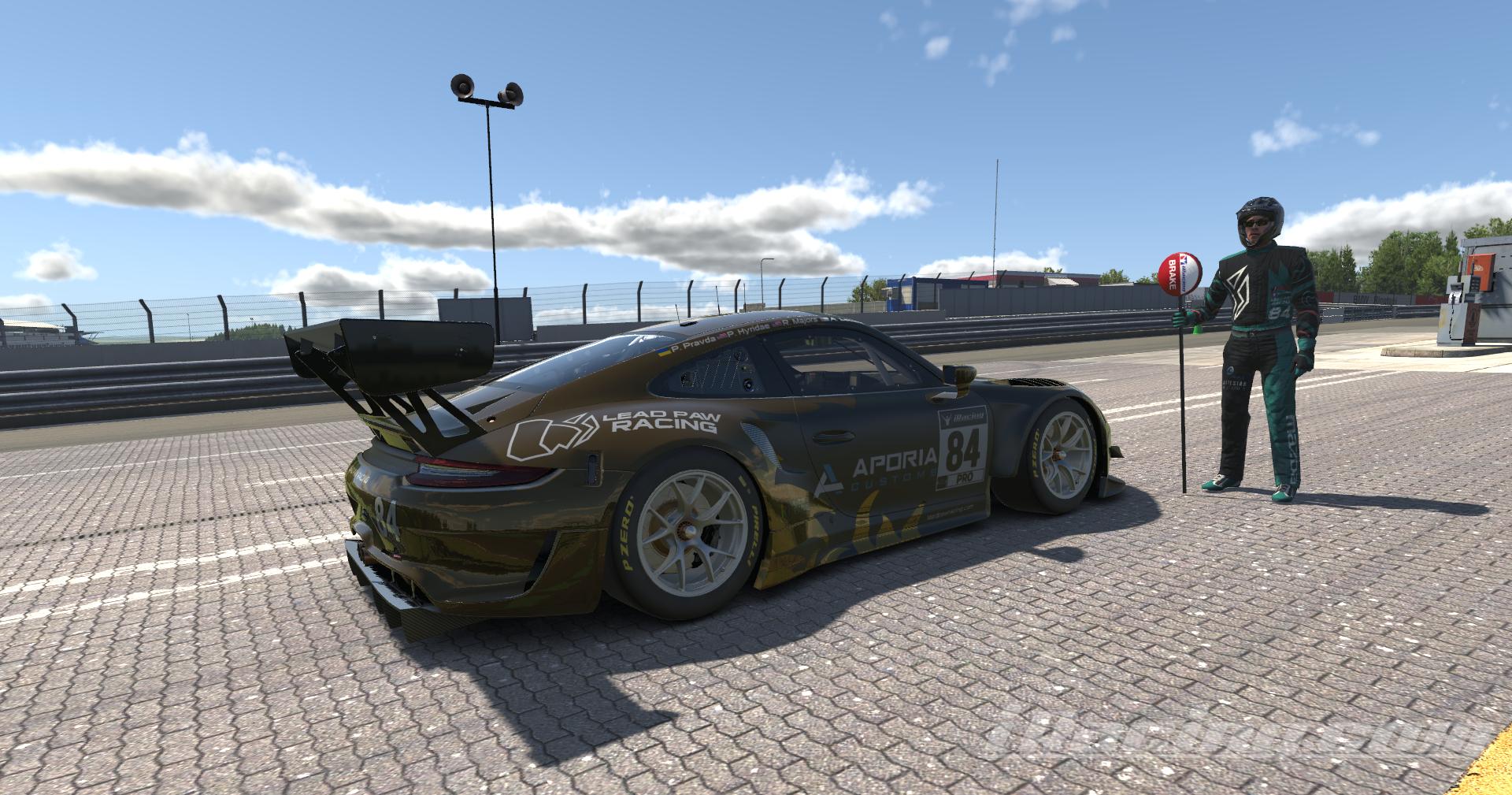 Preview of 2022 Lead Paw Racing 24 Hours of Dayona 911 GT3R (Standard Numbers) by Pan H.