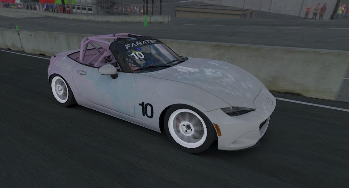 Preview of Poly Paint by Garret S.