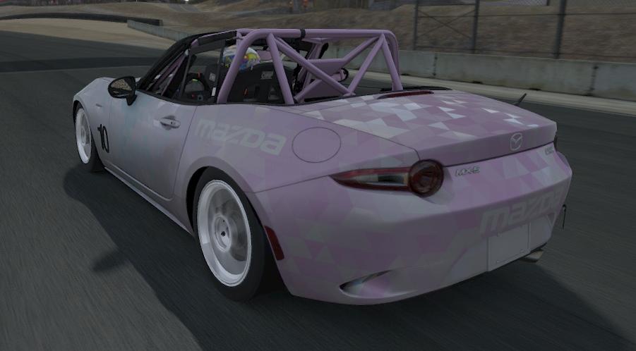 Preview of Poly Paint by Garret S.