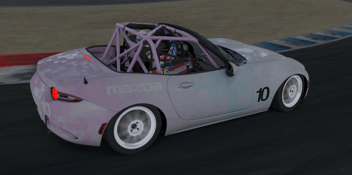 Preview of Poly Paint by Garret S.