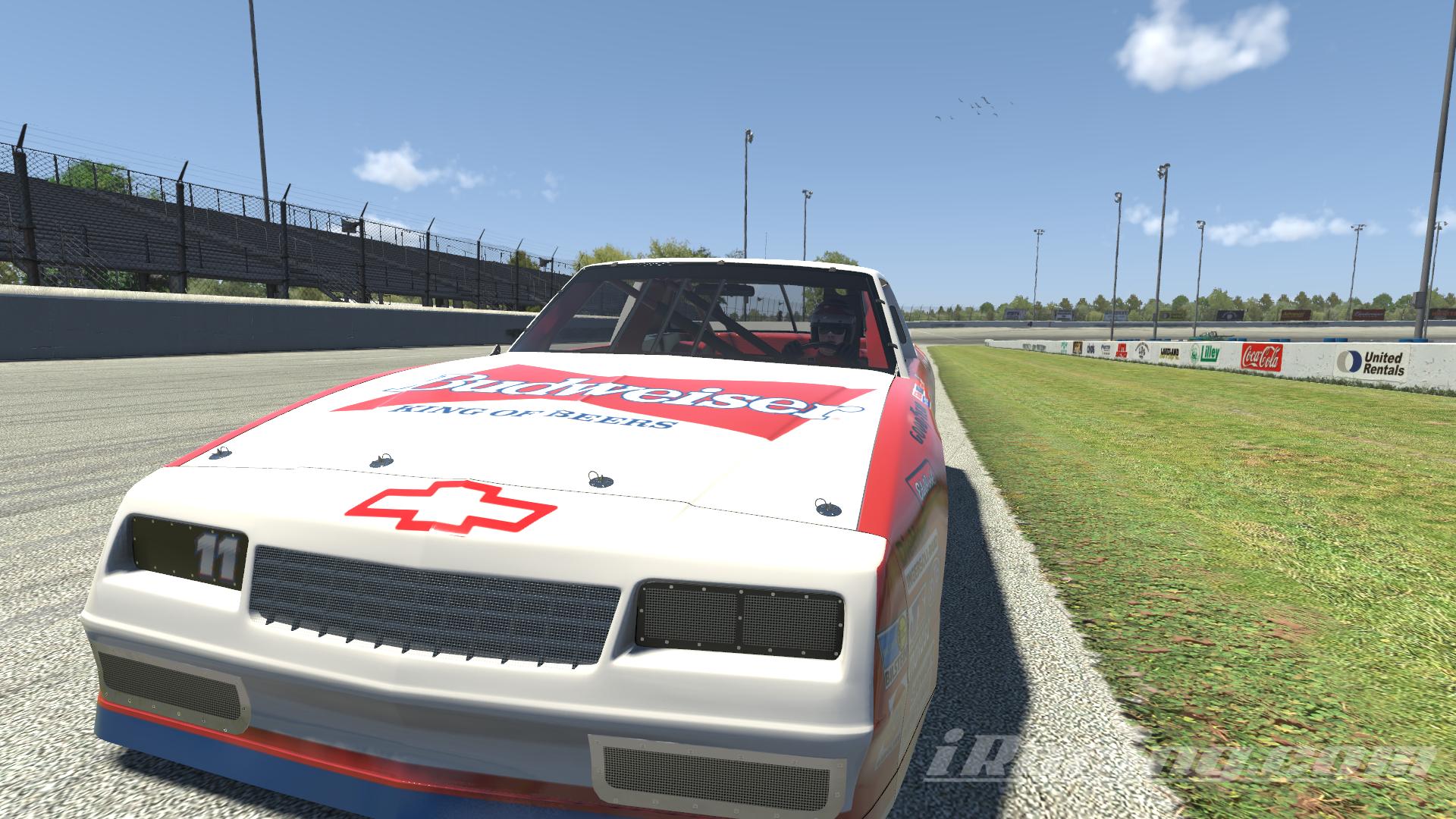 Preview of Budweiser by James S.