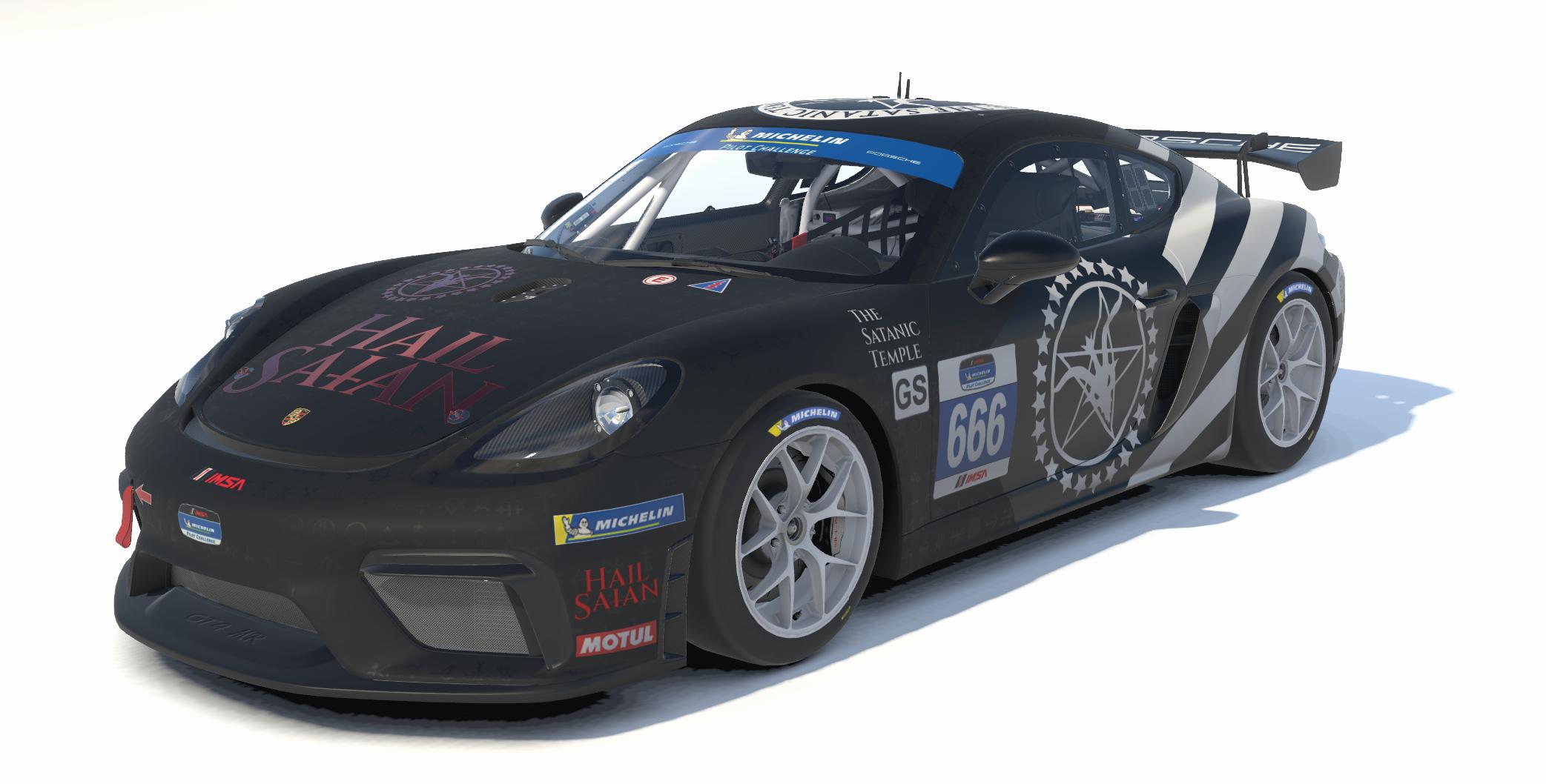 Preview of TST by Carson C.