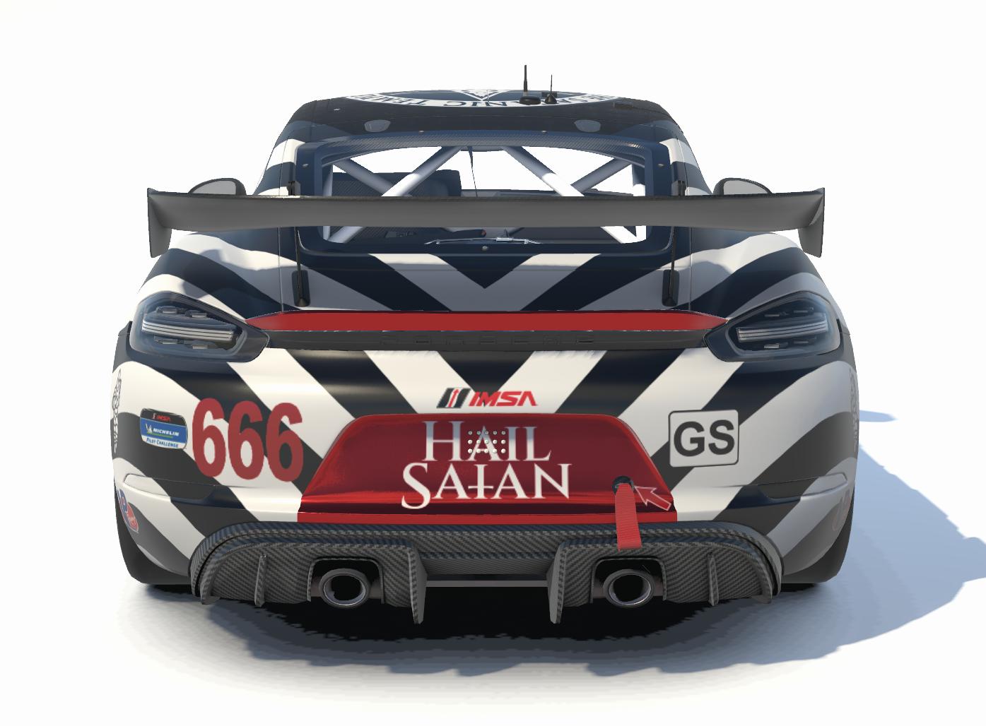 Preview of TST by Carson C.