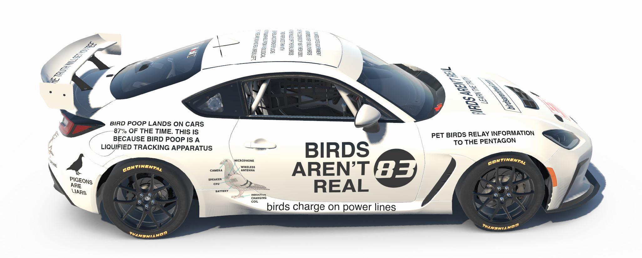 Birds Arent Real by Jarrod Portwood - Trading Paints