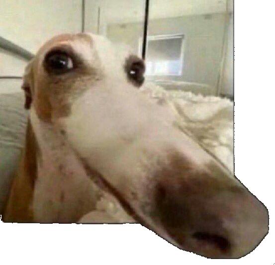 Preview of aj legend by Levi Johnson4