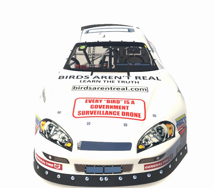 Birds Arent Real ARCA by Diego Valle - Trading Paints
