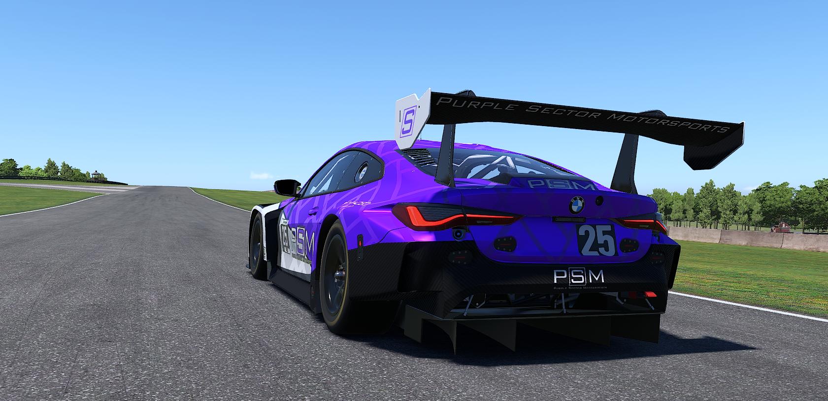 Preview of PSM BMW M4 GT3 by John P.