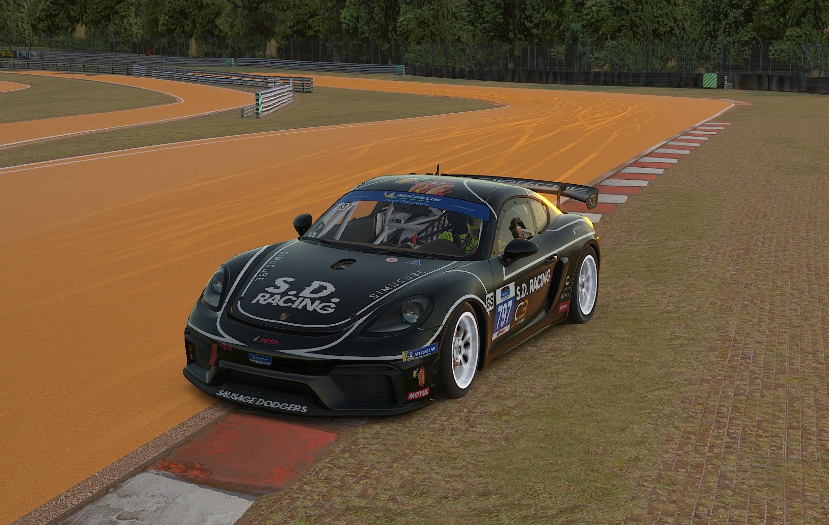 PORSCHE GT4 SDRACING by Tim Williams5 - Trading Paints