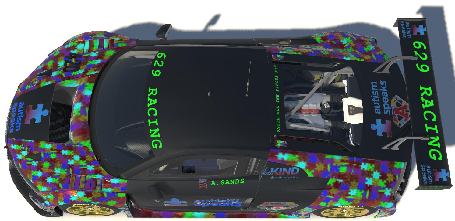 Preview of A.Sands 629 Autism Speaks Racing by Todd Schwarz