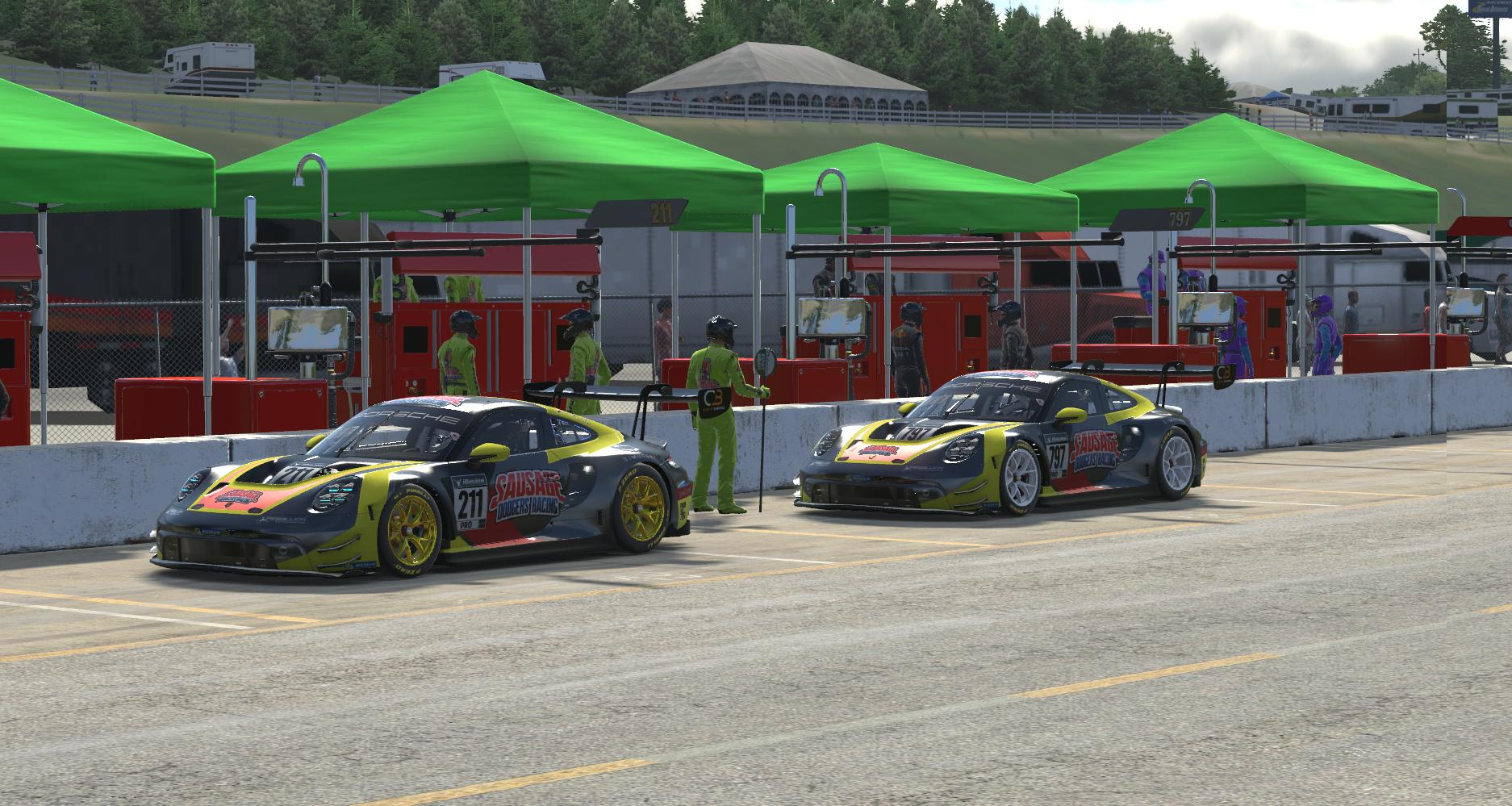 Preview of SIMZA PORKY by Tim Williams5