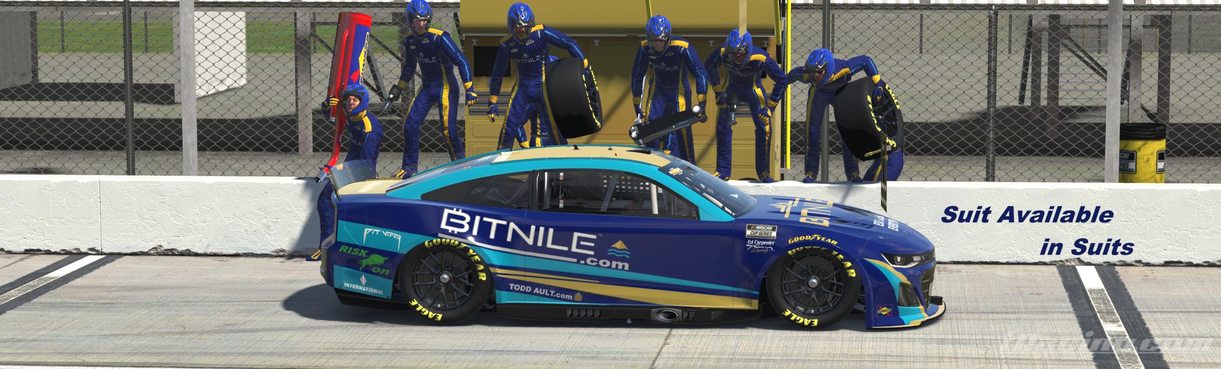 BITNILE Driver and Pit CrewSuit by Bernie Mobbs - Trading Paints