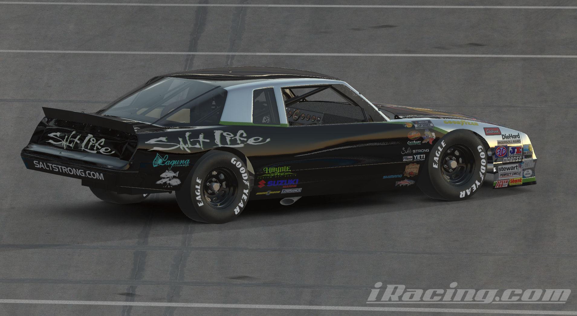 Preview of SALT LIFE Chevrolet Monte Carlo 1987 (NO NUMBERS) by Scott Van Ness