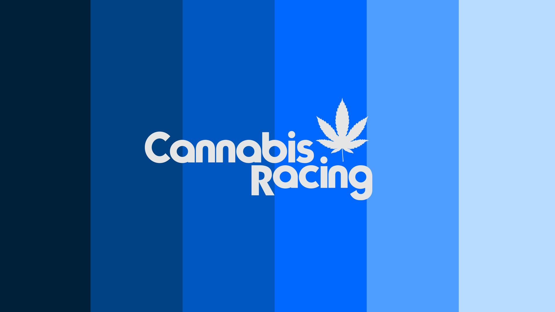 Carson 87 Cannabis Racing #87 by Carson C. - Trading Paints