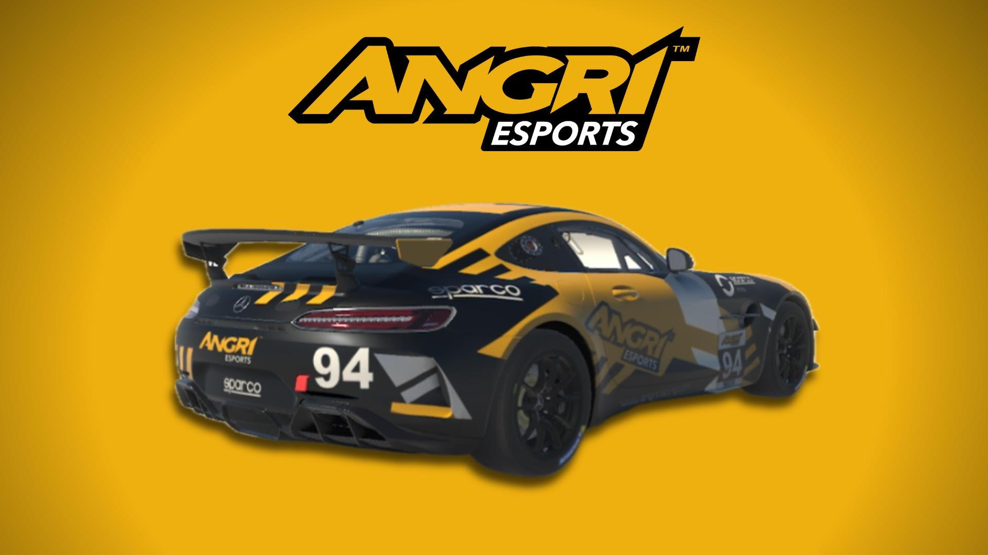 ANGRi Racing Mercedes AMG GT4 by Tate Bishop - Trading Paints