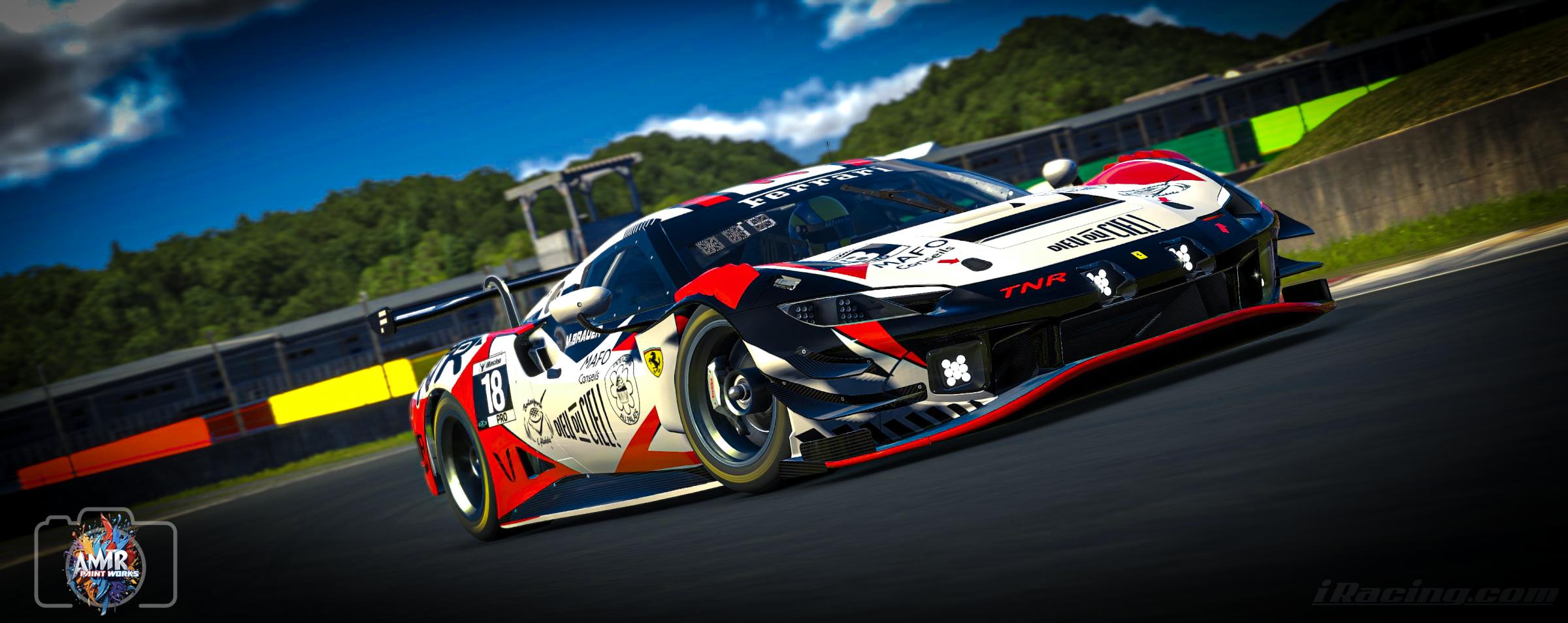 Preview of TNR by Amr S.