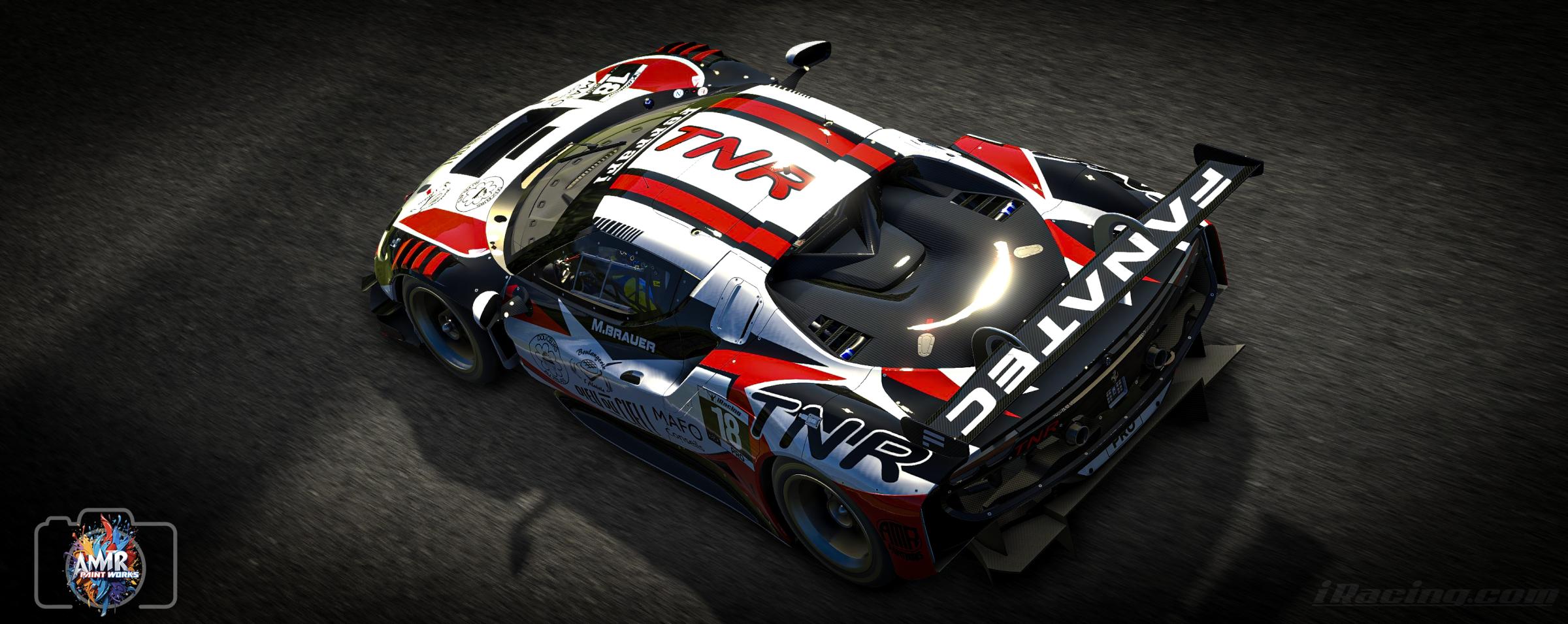 Preview of TNR by Amr S.