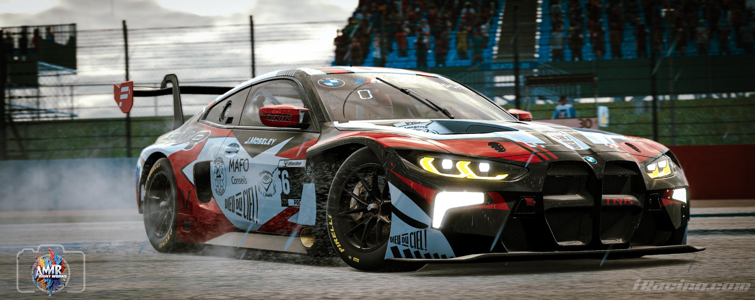 Preview of TNR  by Amr S.