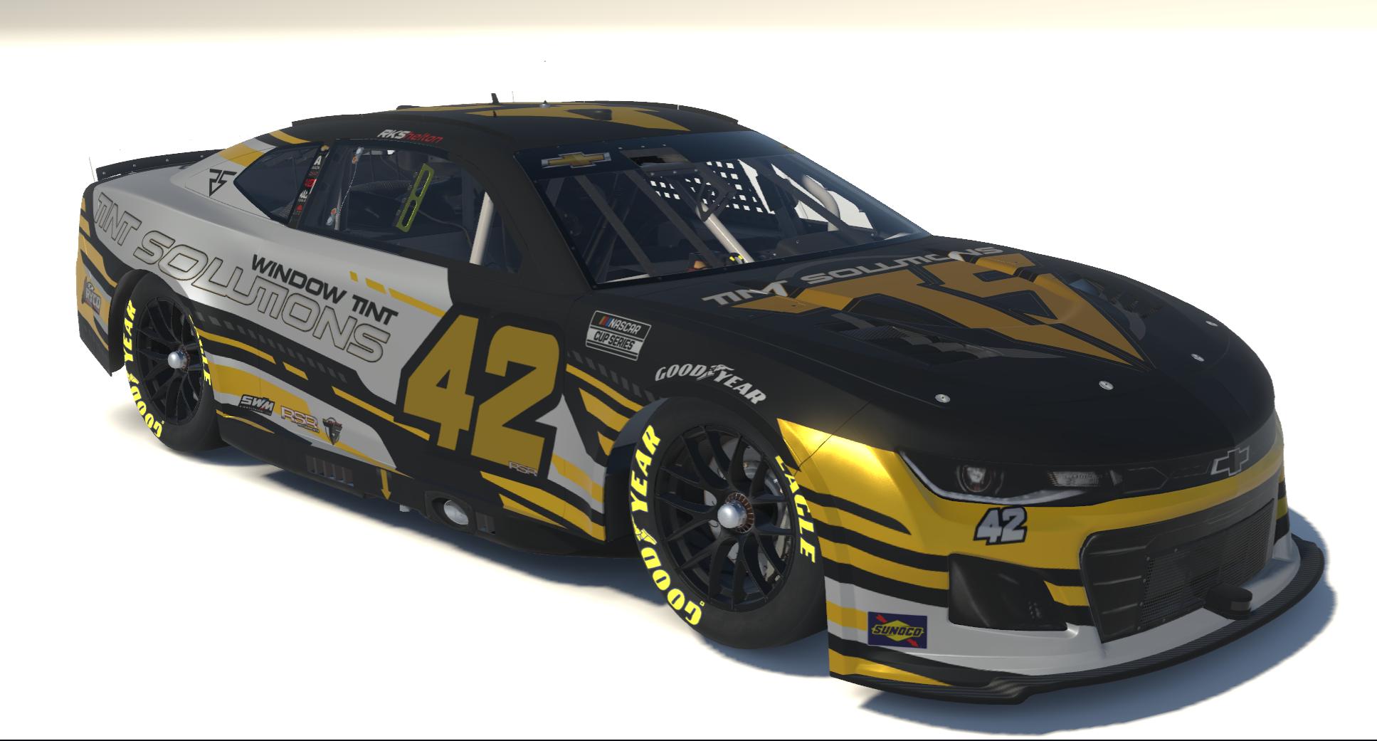 Preview of TINT SOLUTIONS by Roger S.