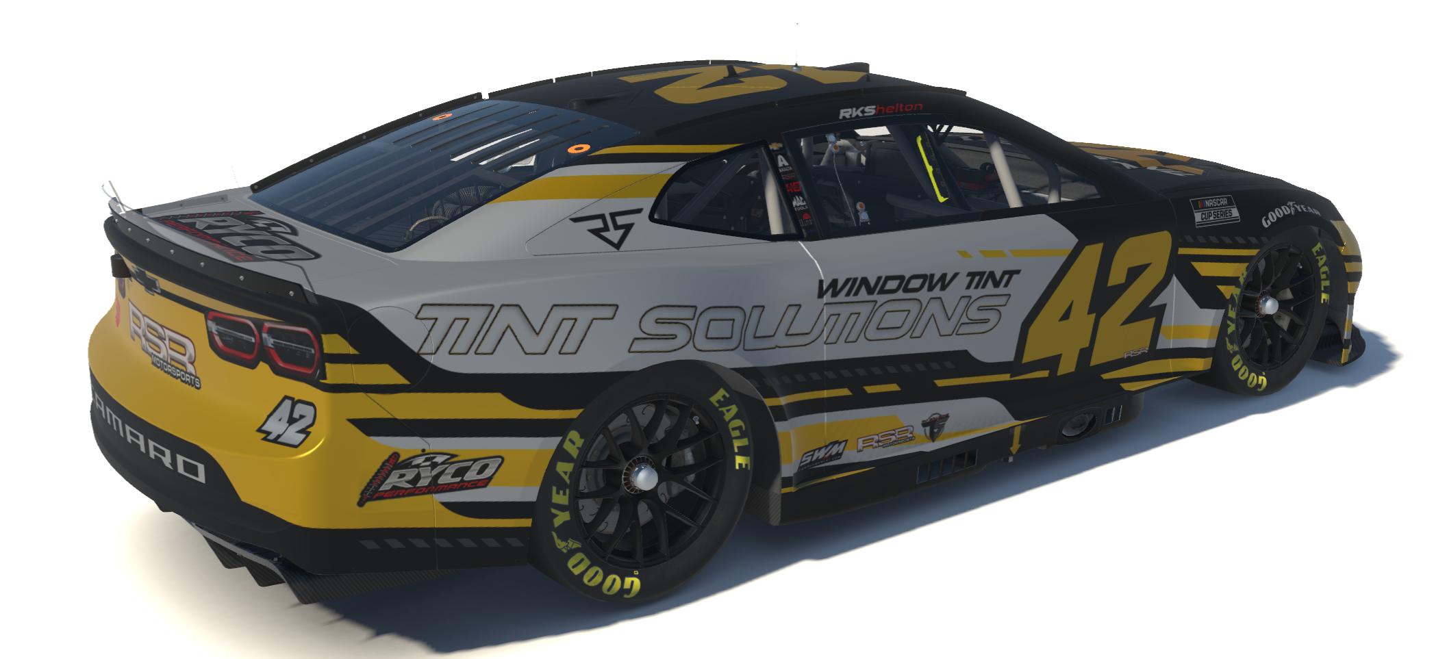 Preview of TINT SOLUTIONS by Roger S.