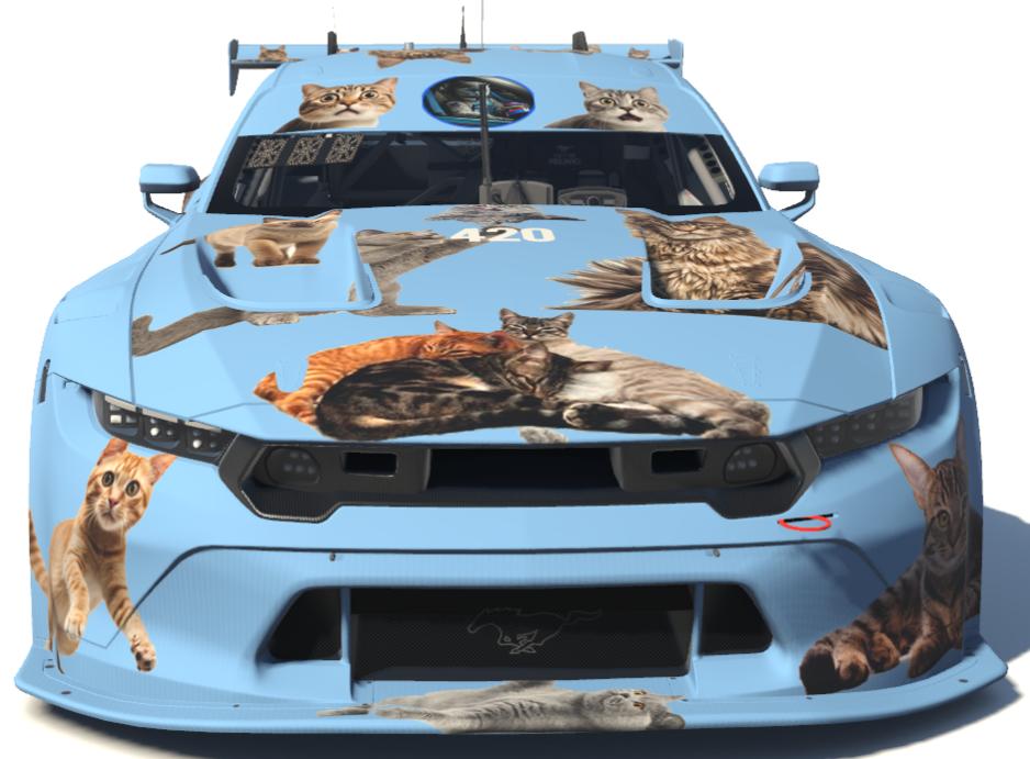 Preview of Cats Ford Mustang GT3  by Todd Schwarz