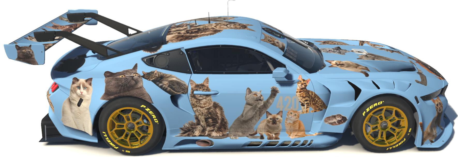 Preview of Cats Ford Mustang GT3  by Todd Schwarz