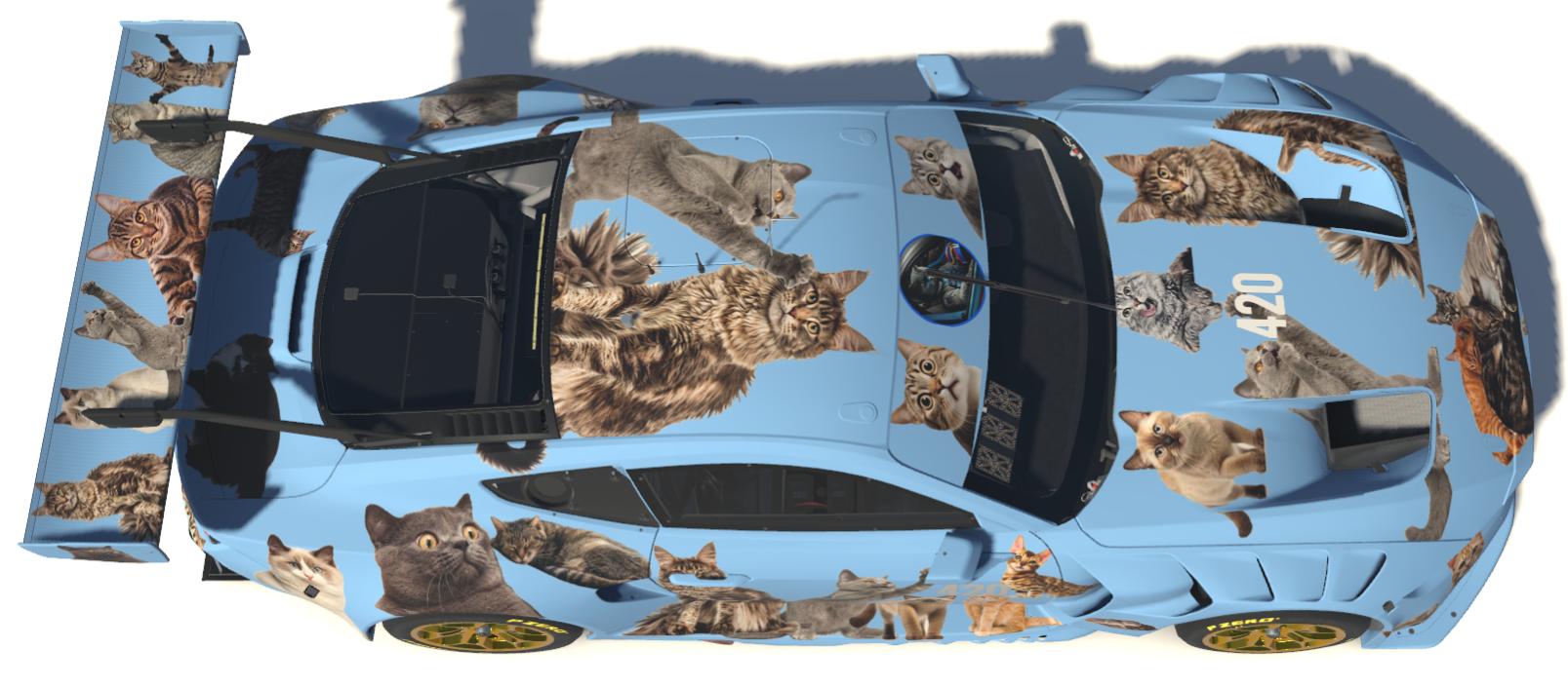 Preview of Cats Ford Mustang GT3  by Todd Schwarz