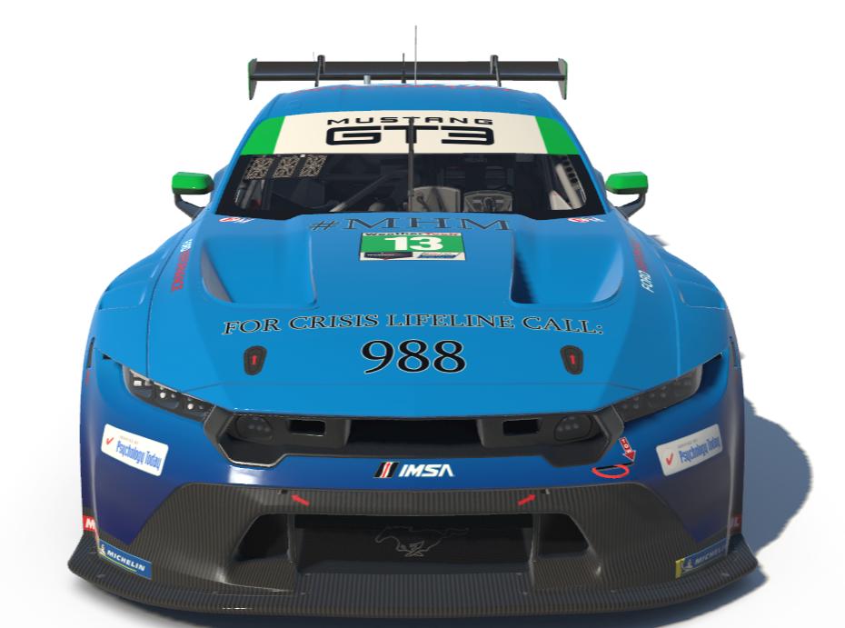 Preview of The Nurturing Willow LLC #MentalHealth by Karsten Cook