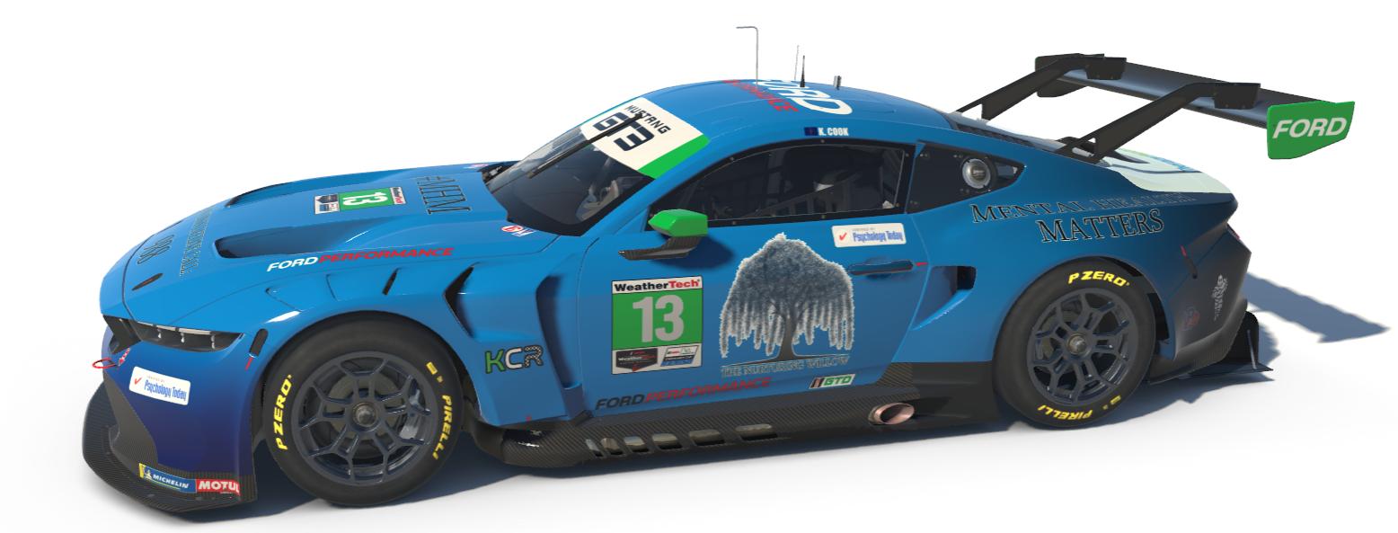 Preview of The Nurturing Willow LLC #MentalHealth by Karsten Cook