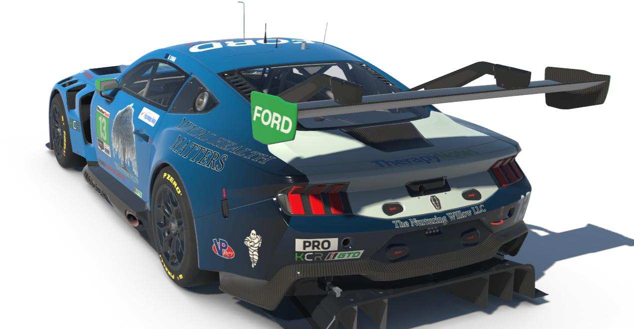 Preview of The Nurturing Willow LLC #MentalHealth by Karsten Cook