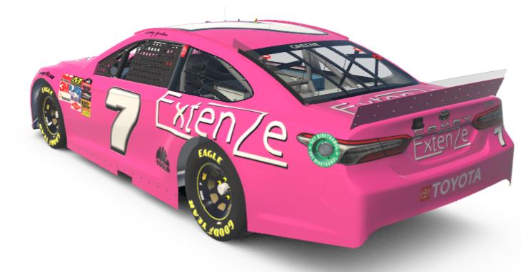 Preview of 2010 Robby Gordon Motorsports Extenze Breast Cancer Awareness Toyota Camry (Custom 7) by Samuel Greene