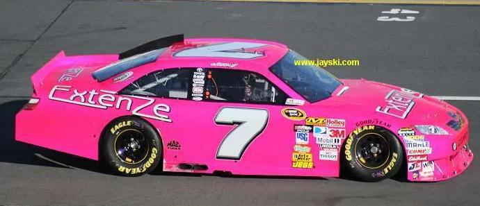 Preview of 2010 Robby Gordon Motorsports Extenze Breast Cancer Awareness Toyota Camry (Custom 7) by Samuel Greene