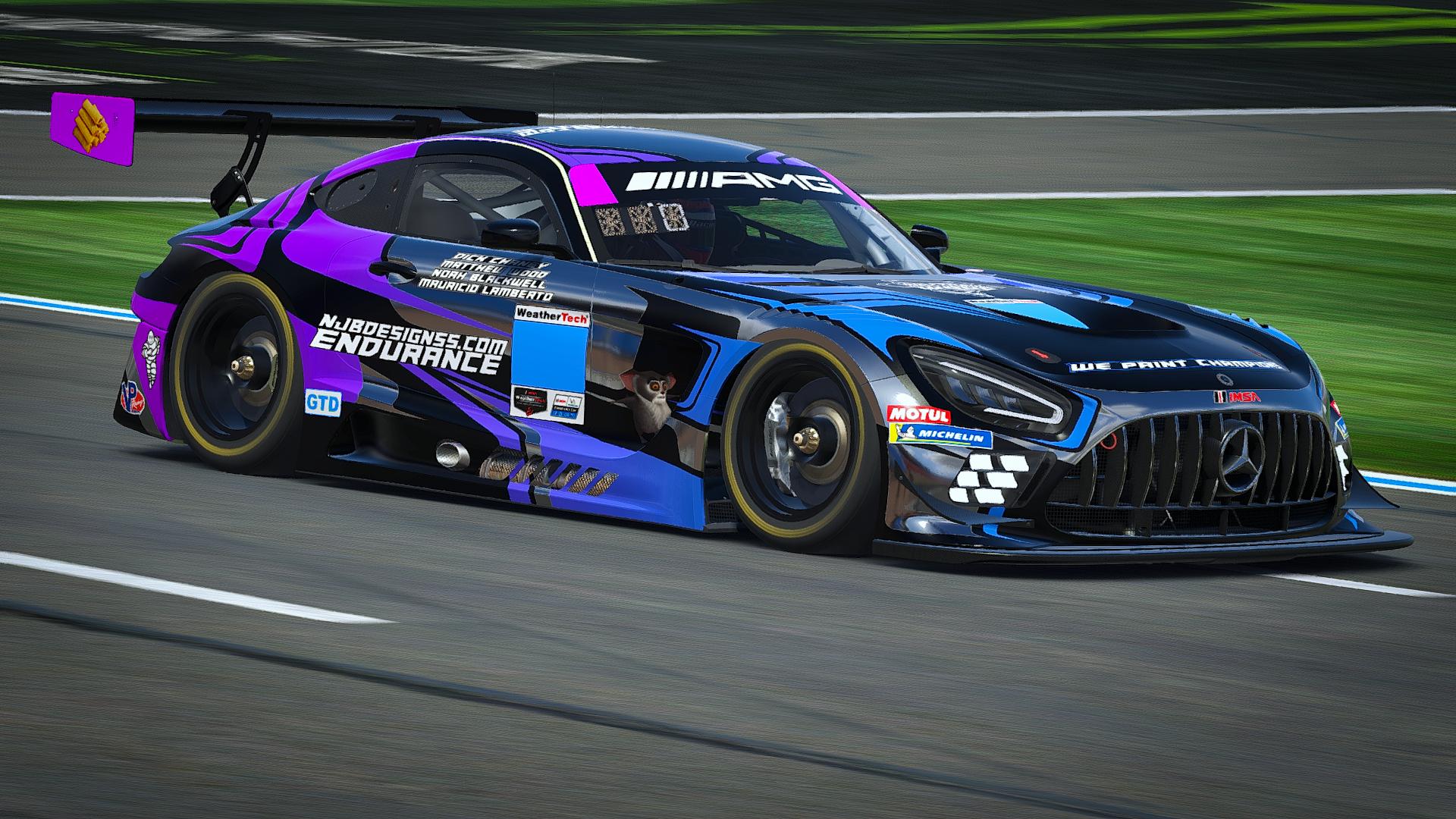 Endurance Team by Noah B. - Trading Paints