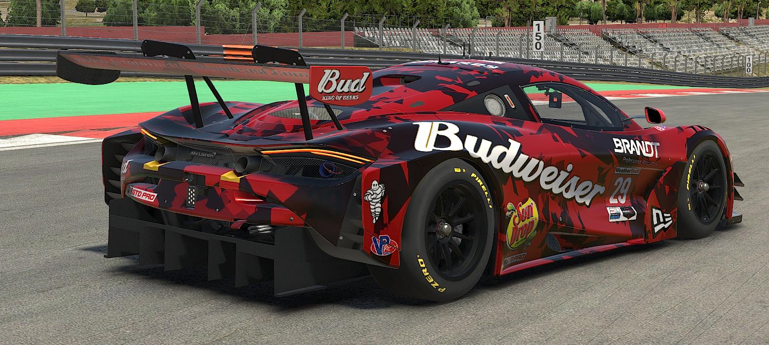 Preview of Budweiser by Christopher R.