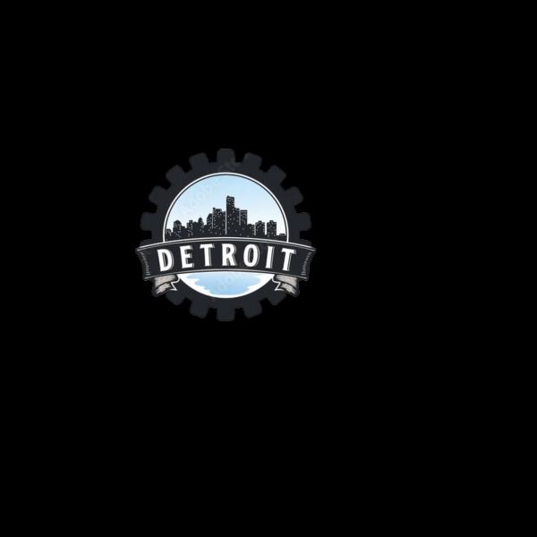 Preview of NFL Detroit Lions by Shannon Spears