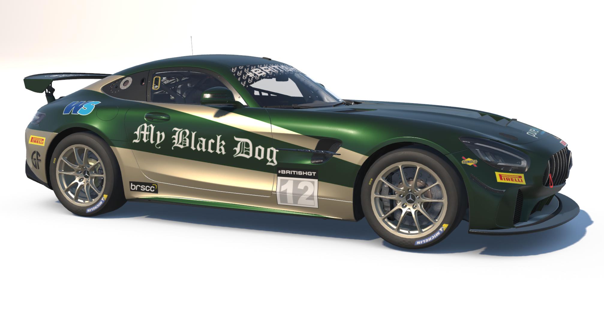 Preview of #12 TEAM PARKER RACING by Keith Archer