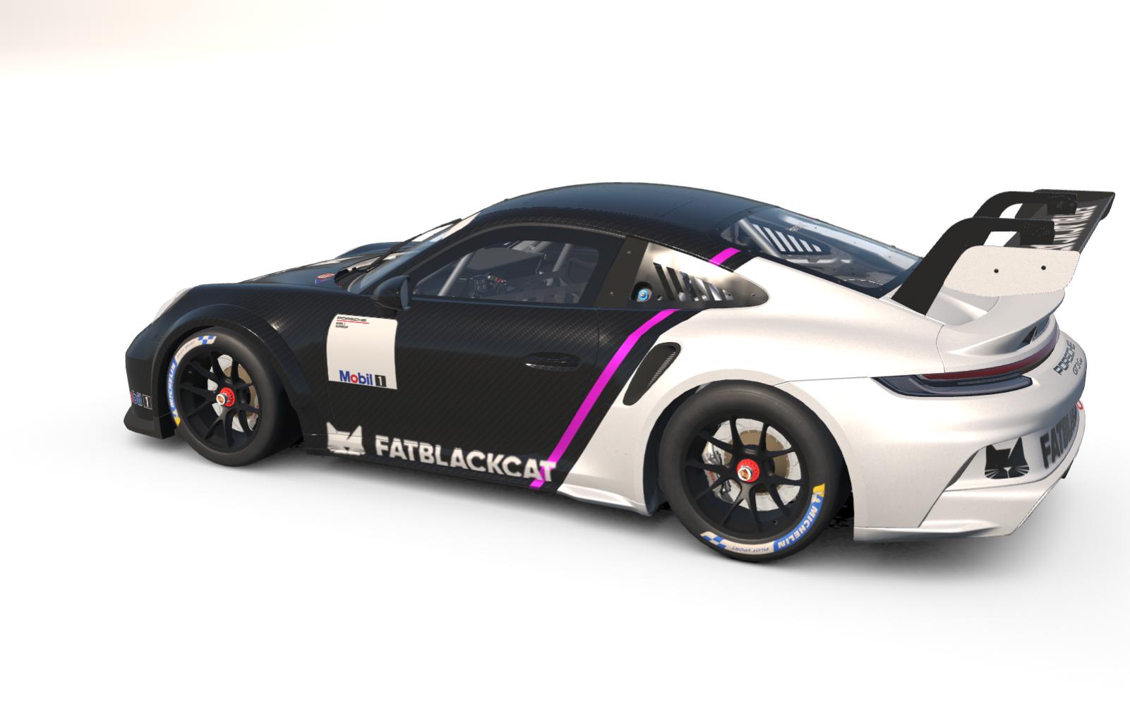 Preview of FatBlack Cat PCUP by Anthony Handley