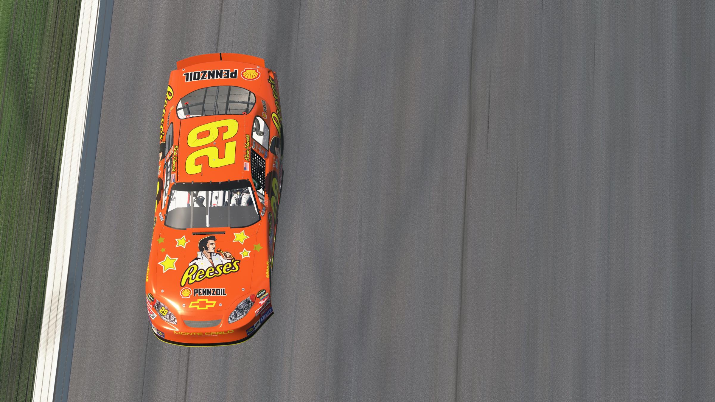 Preview of Kevin Harvick Elvis and Reeses by Tyler Shaw3