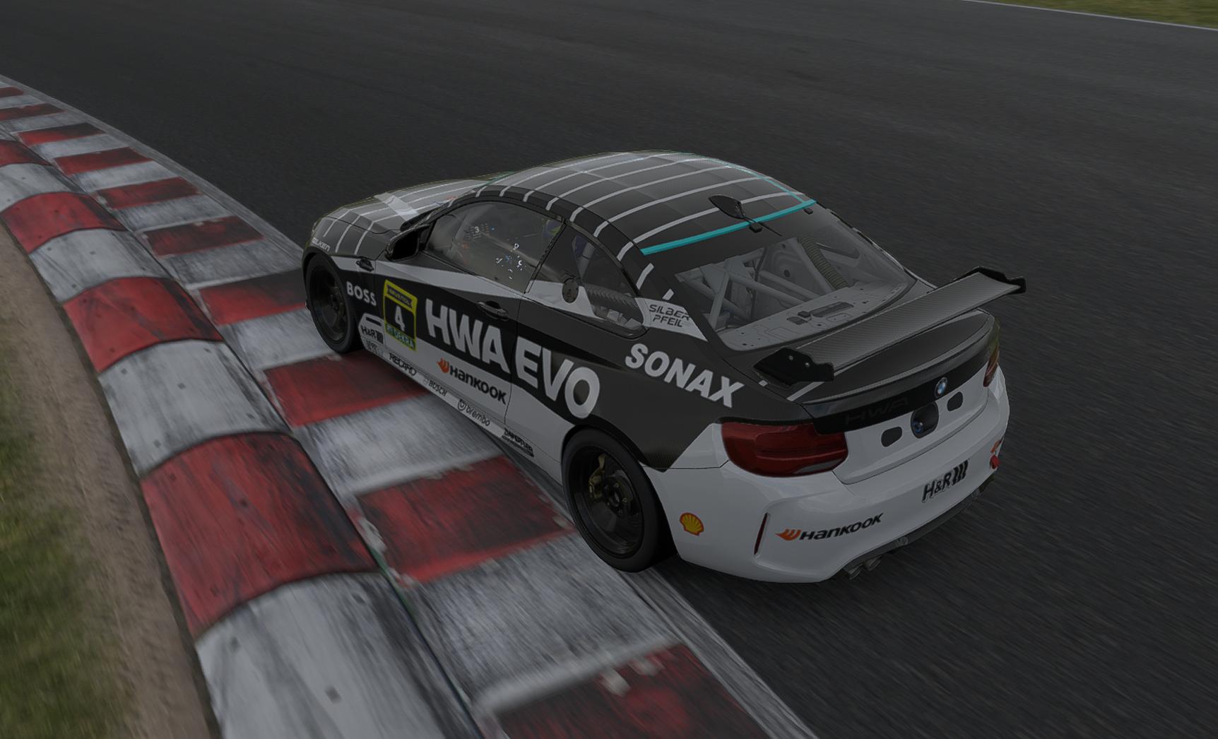 Preview of HWA EVO - Nurburgring 24 Hours by Benjamin Singer