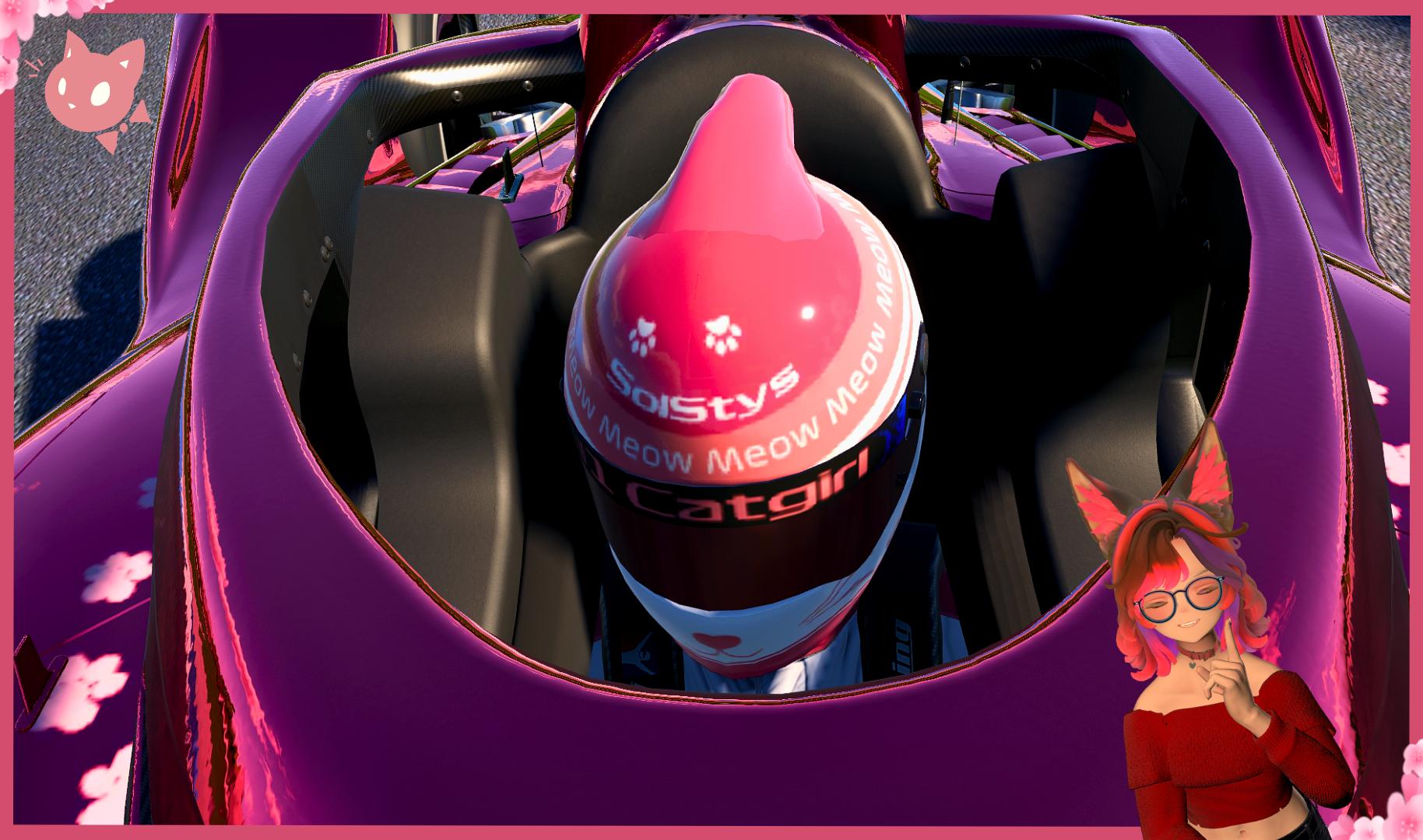 Preview of Sol Stys Cats Helmet by Ellen O.