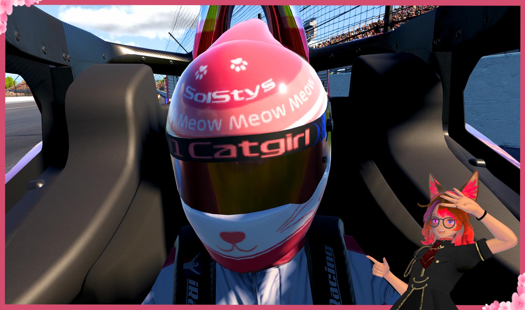 Preview of Sol Stys Cats Helmet by Ellen O.